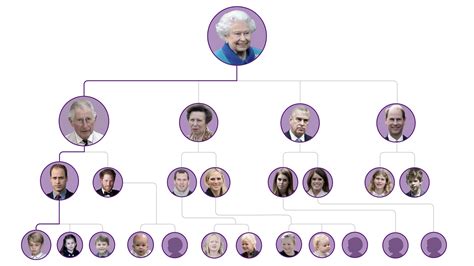 Royal Family next in line of succession in House of Windsor after death of Queen Elizabeth II ...