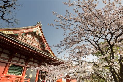 11 Famous Temples to Visit in Japan | Celebrity Cruises