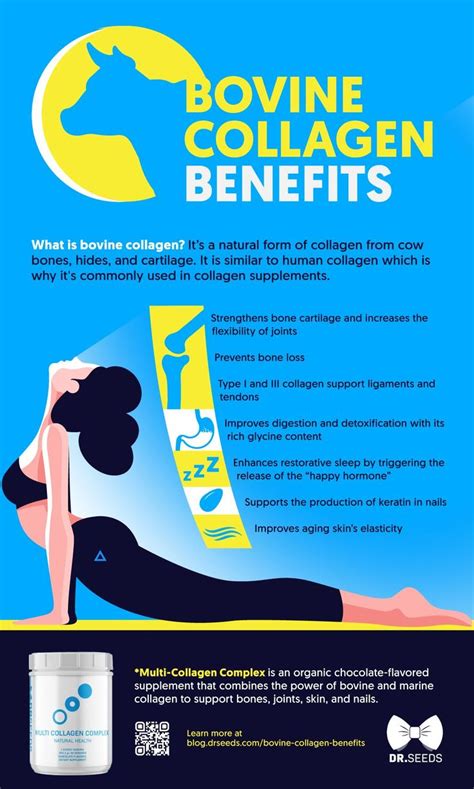 7 Incredible Benefits Of Bovine Collagen Supplements [INFOGRAPHIC] in 2020 (With images ...