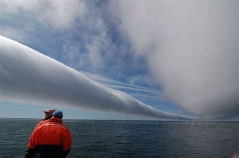 I want to witness morning glory clouds on the Gulf of Carpentaria in Northern Australia. Wow ...