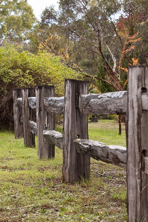 Raindrops on Rustic Wood Fence Photograph by Michelle Wrighton - Pixels