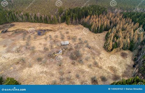 Old Abandoned House in Forest Stock Photo - Image of aerial, raudonosio: 143424162