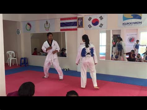 (Quick Guide) Hapkido vs Taekwondo: Similarities & Differences