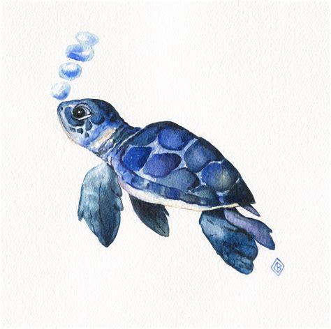 Baby Sea Turtle Drawing - Drawing.rjuuc.edu.np