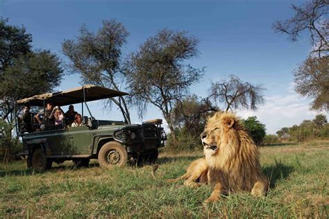 Choosing a South African Safari - The Budget Your Trip Blog