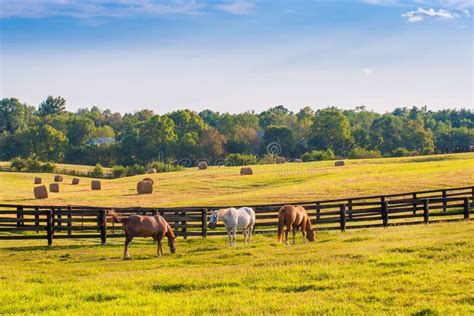 Old farm landscape stock photo. Image of landscapes, scenery - 13408166