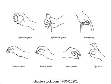 Human Basic Hand Pattern Sample Object Stock Vector (Royalty Free) 780415201 | Shutterstock