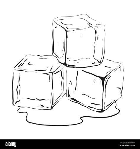 Hand drawn ice cubes. Black and white vector illustration for your creativity Stock Vector Image ...