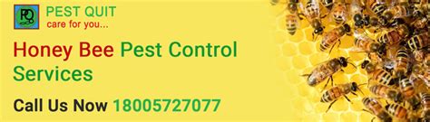 Honey Beehive Removal In Bangalore | Honey Bee Control And Treatment