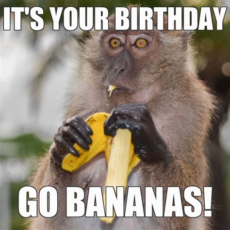 26 Funny Happy Birthday Memes To Make Them Smile on Their Special Day