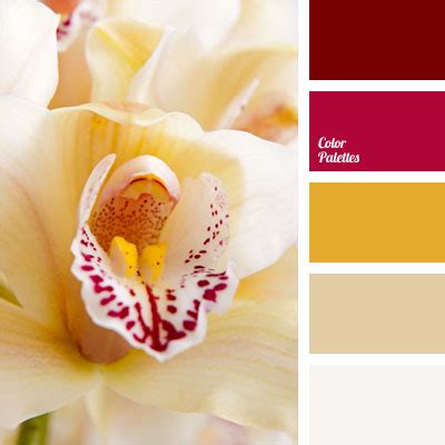 color of vanilla | Color Palette Ideas