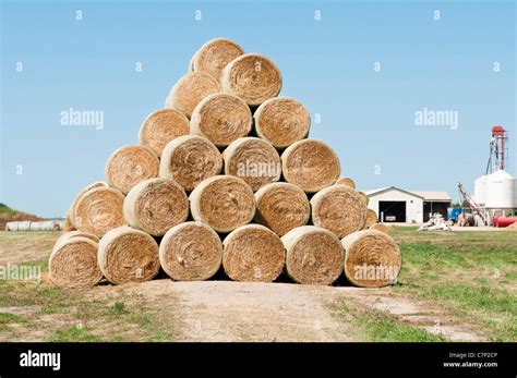 Alfalfa Hay Bales High Resolution Stock Photography and Images - Alamy