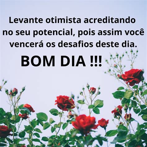 mensagens motivacionais de bom dia - frases de bom dia