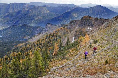 Fall for Whitefish | Whitefish Montana Lodging, Dining, and Official Visitor Information