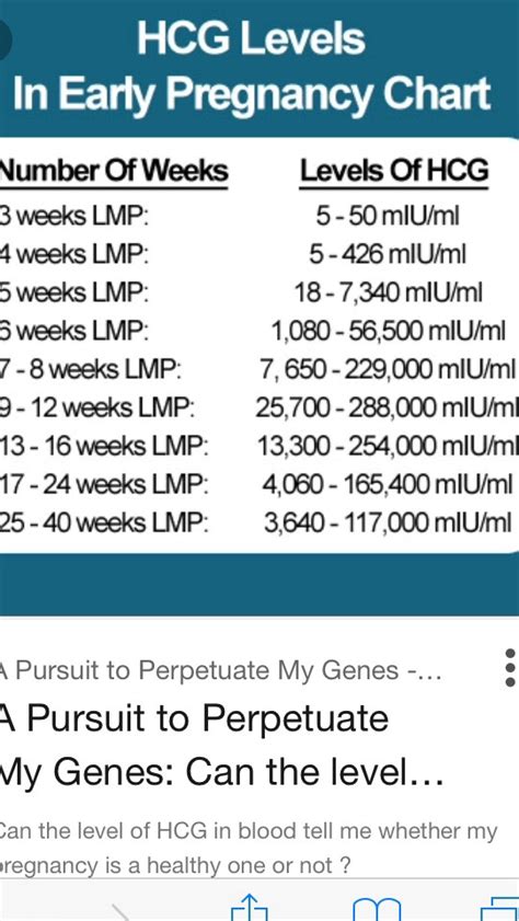 5 weeks pregnant are my hcg levels ok? - Netmums Chat