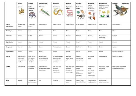 Invertebrates chart