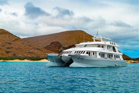 The Best Galapagos luxury cruise | 5-Days Itinerary