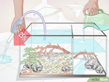 3 Ways to Care for African Clawed or Dwarf Frogs - wikiHow Pet