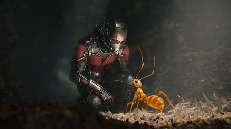 Online crop | HD wallpaper: Marvel Antman, Ant-Man, fantasy art, movies, ants, animal wildlife ...