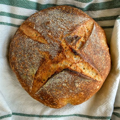 On Baking Homemade Bread + Helpful Bread Baking Resources - I Brought Bread