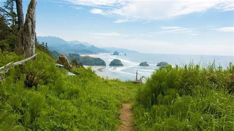 Top Trails for Easy Day Hikes on the Oregon Coast