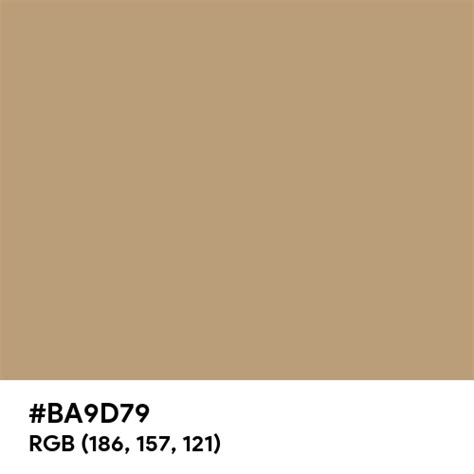 Dark Tan color hex code is #BA9D79