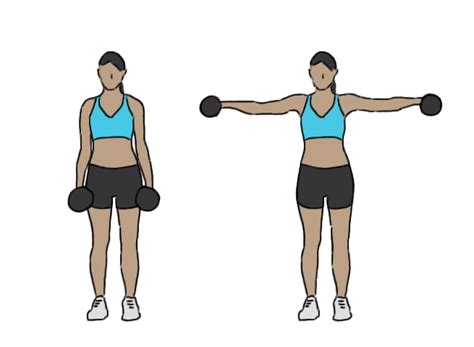 Dumbbell lateral raises - GoFitnessPlan