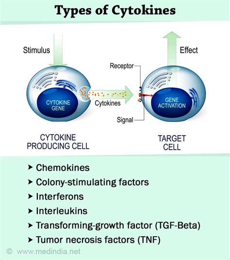 Cytokines - Part of Body's Defence System