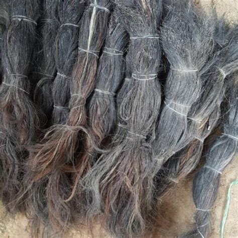 Cattle Tail Hair, Cow Tail Hair,Sheep Wool, Horse Tail Hair(id:10818465 ...