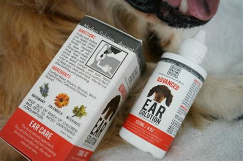 Dog Ear Cleaning Solution from #ReliqPet - Golden Woofs