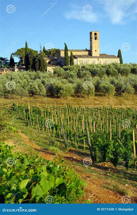 Vineyard In Tuscany, Italy Royalty Free Stock Photos - Image: 3271638