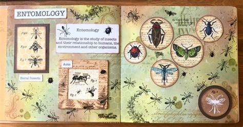 Entomology | Handmade books, Social insects, Gallery wall