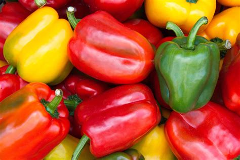 Growing Bell Peppers: From Planting to Harvest | The Old Farmer's Almanac