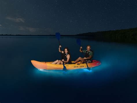 Guide to Exploring Puerto Rico’s Bioluminescent Bays