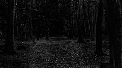 Dark Forest | Scary/Horror Intense Ambient Sound/Music - YouTube