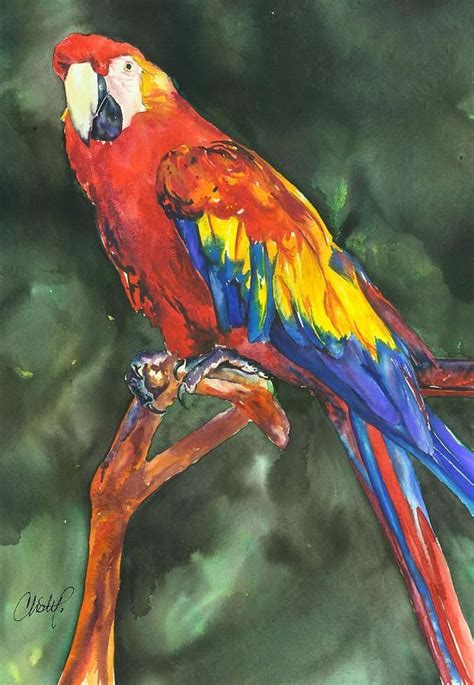 Parrot Print Tropical Bird Watercolor Wall Art Exotic Birds Parrot Watercolor Art & Collectibles ...