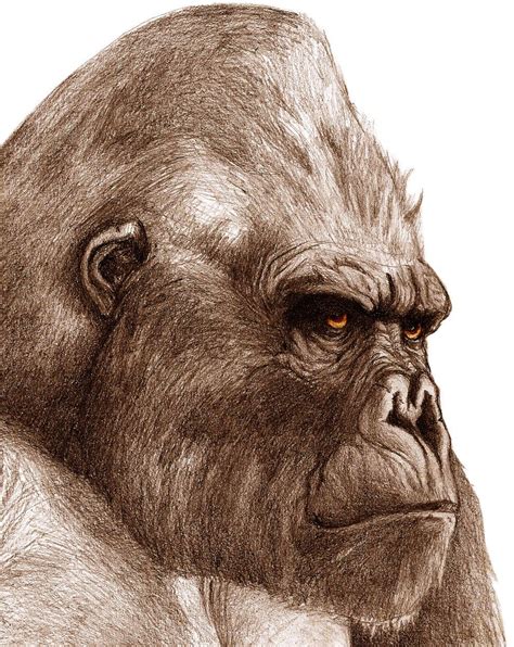 King Kong fan art on KaijuFanClub - DeviantArt | King kong, Monkey art, Pencil drawings of girls