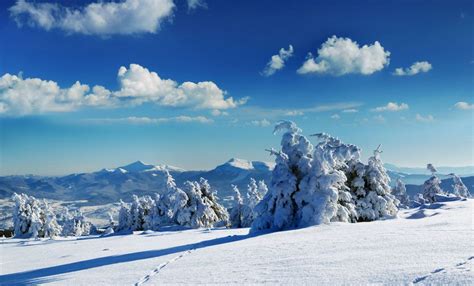 Winter Wonderland: Images of Stunning Snowy Landscapes | Live Science