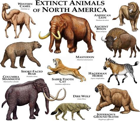 Extinct Animals List