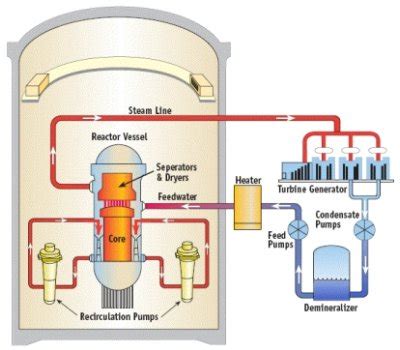 Nuclear Power Plant Reactor