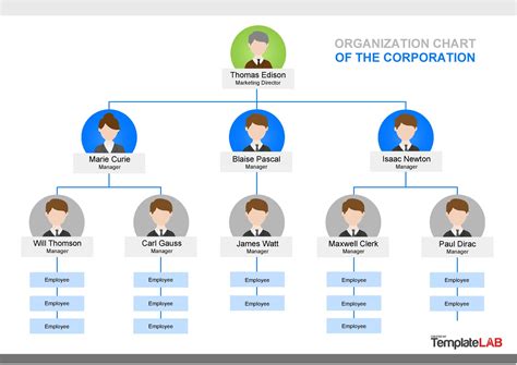 41 Organizational Chart Templates (Word, Excel, PowerPoint, PSD)