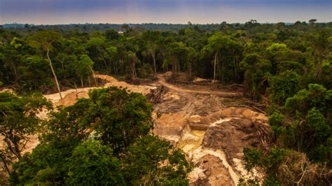 Mining in the Amazon threatens 20% of indigenous lands - report - MINING.COM