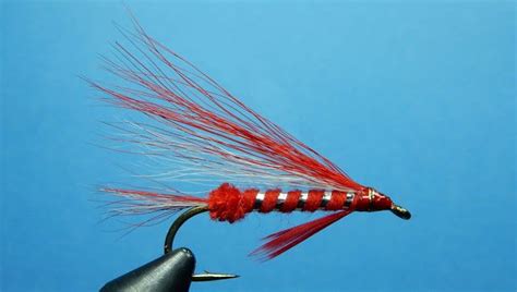 Flytying: New and Old: Streamers Hair Wings, Fly Tying Patterns, Steelhead, Fly Fishing ...