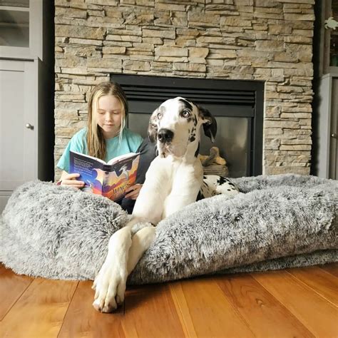 Luxury Human Dog Bed by FunnyFuzzy | Super Large, Cozy, and Waterproof