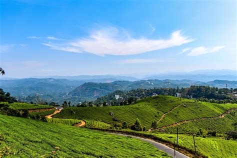 12 Best Munnar Resorts that will Suit Your Taste & Pocket | Veena World