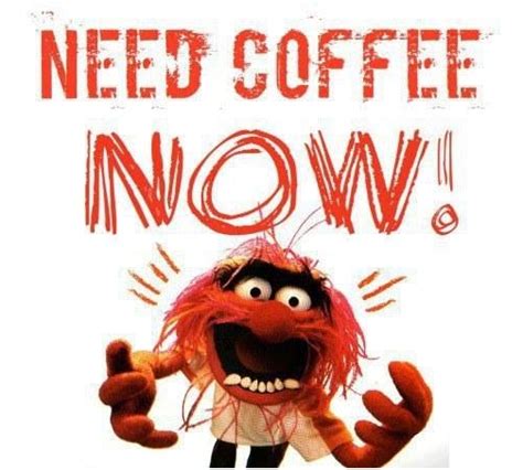 Coffee Humor - Brandee's Place Photo (37701258) - Fanpop