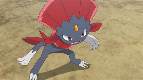 Pokemon BDSP Weavile Guide: Pokedex, location, moveset, evolution - The Click