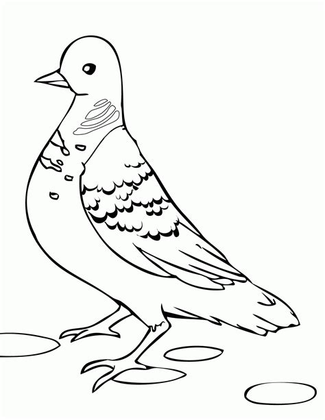 Free White Dove Coloring Page, Download Free White Dove Coloring Page png images, Free ClipArts ...