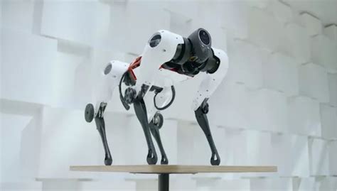 China's Tencent Develops Robot Dog Max | Dao Insights