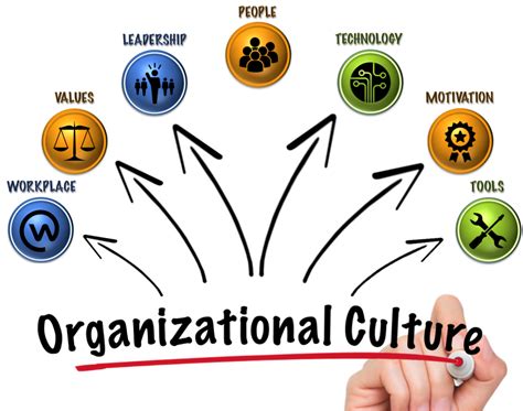 Organizational Culture: Definition, Importance, and Development